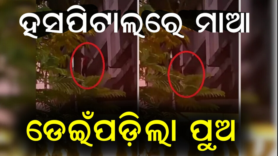 mumbai:ହସପିଟାଲର-ଚତୁର୍ଥ-ମହଲାରୁ-ଡେଇଁ-ଯୁବକଙ୍କ-ଆତ୍ମହତ୍ୟା,-ମାଆଙ୍କ-ଯୋଗୁଁ-ଥିଲେ-ଚାପରେ