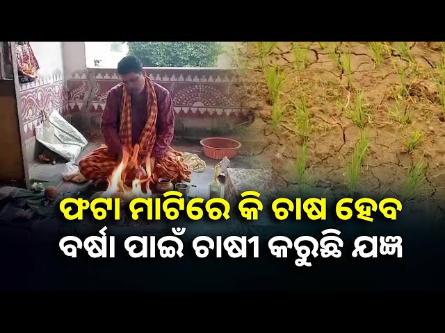 ପେଟକୁ-ଆହାର-ଯୋଗାଉ-ଥିବା-ଚାଷୀର-ଦୁଃଖ-ବୁଝୁ-ନାହାନ୍ତି-ଇନ୍ଦ୍ର-ଦେବ-କି-ବୁଝୁନି-ପ୍ରଶାସନ-||knews-odisha