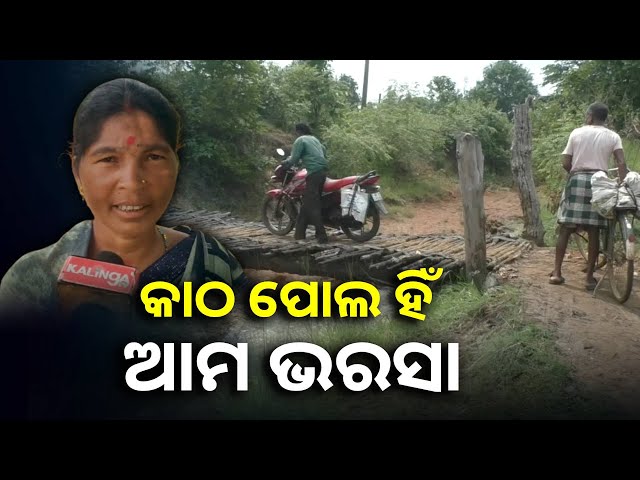 ୬-ବର୍ଷ-ହେଲା-ଭାଙ୍ଗିଲାଣି-ପୋଲ,-ଅସ୍ଥାୟୀ-କାଠ-ପୋଲ-ସାହାରାରେ-ଗ୍ରାମବାସୀ-||knews-odisha