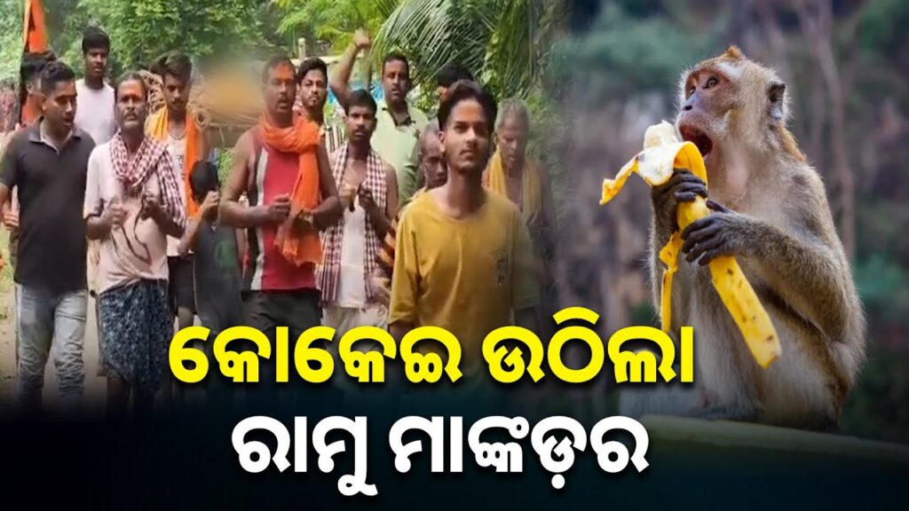 ପଶୁ-ଓ-ମଣିଷ-ଭିତରେ-ସମ୍ପର୍କରେ-ବିରଳ-ଉଦାହରଣ-ରଖି-ଚାଲିଗଲା-ରାମୁ-||-knews-odisha