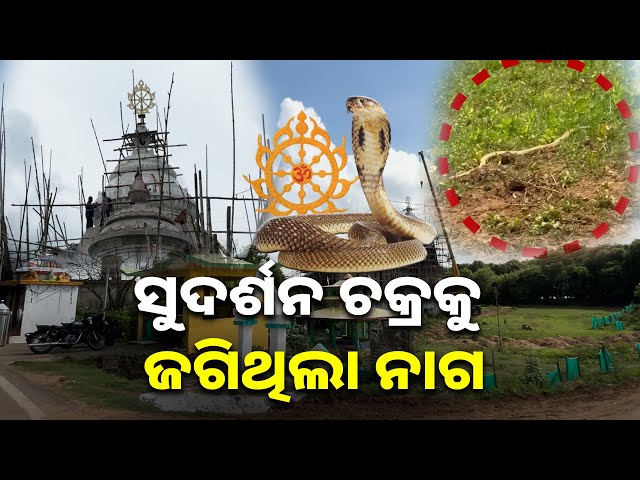 ନବକଳେବର-ପାଇଁ-ଦାରୁ-ଯାଇଥିବା-ଗଡ଼କଣ୍ଟୁଣିଆରେ-ଦେଖିବାକୁ-ମିଳିଲା-ଅଲୌକିକ-ଦୃଶ୍ୟ-||-knews-odisha