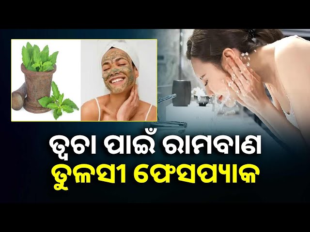 ତ୍ୱଚାରେ-ଚମକ-ଆଣେ-ତୁଳସୀ-ପତ୍ରର-ଫେସପ୍ୟାକ,-ଜାଣନ୍ତୁ-ପ୍ରାକୃତିକ-ଉପାୟରେ-କେମିତି-ପାଇବେ-ସୁନ୍ଦରତା-||knews-disha