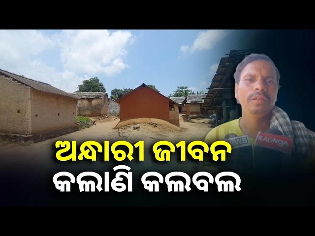 ବିଦ୍ୟୁତ-ସଂଯୋଗ-ନଥିବାରୁ-ଅନ୍ଧାରୀ-ଜୀବନ-ବିତାଉଛନ୍ତି-କୁଲାଡେରା-ଗାଁ-ଲୋକେ-||knews-odisha