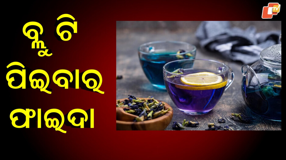 blue-tea:ଆପଣଙ୍କ-ବଗିଚାରେ-ଅଛି-ଏହି-ଫୁଲ,-ଚା-କରି-ପିଅନ୍ତୁ…-ମିଳିବ-ଏତେ-ଫାଇଦା-ଯେ-ଗଣିପାରିବେନି