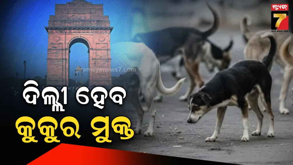 ବୁଲା-କୁକୁରଙ୍କୁ-ନେଇ-ସୁପ୍ରିମକୋର୍ଟଙ୍କ-ବଡ଼-ନିଷ୍ପତ୍ତି,-୮-ସପ୍ତାହ-ପାଇଁ-ଦେଲେ-ଡେଡ୍‌ଲାଇନ୍‌