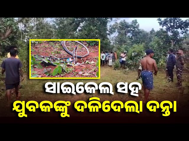 ହାତୀ-ଖେଳାଇଛି-ଆତଙ୍କ-,-ଯୁବକଙ୍କୁ-ସାଇକେଲ-ସହ-ଦଳିଦେଲା-ଦନ୍ତା-ଘଟଣା-ସ୍ଥଳରେ-ଉତ୍ତେଜନା-||-knews-odisha