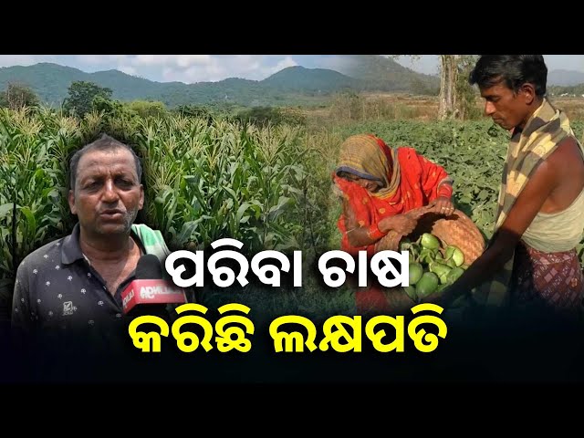 ସୋରଡ଼ା-ବ୍ଲକ-ଚାଷୀ-ପରିବା-ଚାଷ-କରି-ମାଲେମାଲ,-ସମସ୍ତଙ୍କୁଆ-ପାଇଁ-ଉଦାହରଣ-||knews-odisha