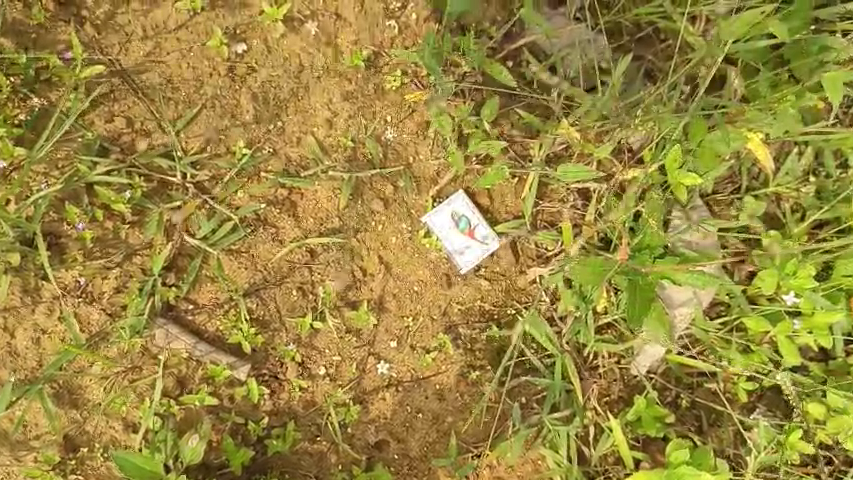 ଫିରିଙ୍ଗିମାଲ-ନାବାଳିକା-ପୋଡ଼ି-ଘଟଣାରେ-ଟ୍ବିଷ୍ଟ୍,-ପ୍ରେମ-ସମ୍ପର୍କ-ଥିବା-ସନ୍ଦେହ-କରୁଛନ୍ତି-ସମ୍ପର୍କୀୟ