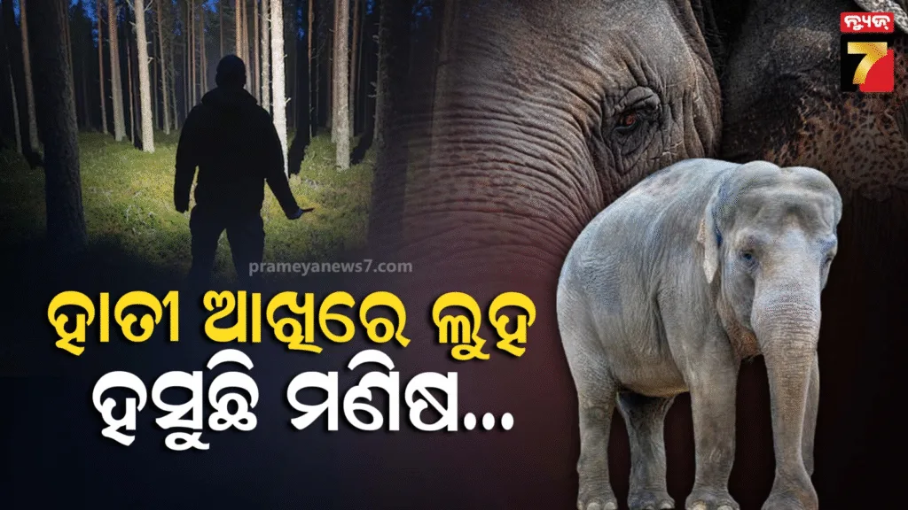 ହେ-ମଣିଷମାନେ-ଆମେ-ବଞ୍ଚିବା-ପାଇଁ-ବିକଳ-ହେଉଛୁ…ତମେ-ଆମକୁ-କଲବଲ-କରି-ମାରୁଛ?