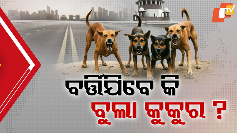 supreme-court:ସୁପ୍ରିମକୋର୍ଟଙ୍କ-ଆଭିମୁଖ୍ୟ-ପରେ-ବି-ଥମୁନି-ବିତର୍କ,-ଭୁବନେଶ୍ବର-ମେୟର-କହିଲେ,-କୁକୁର-ସ୍ଥାନାନ୍ତରଣ-ହେବେନି