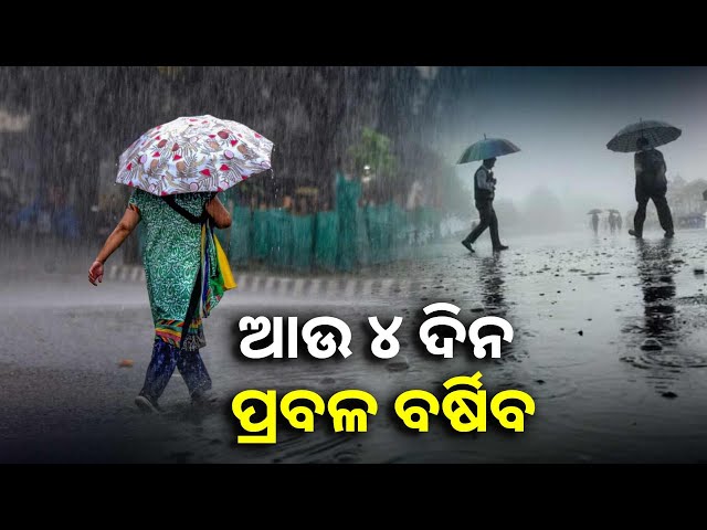 ଲଘୁଚାପ-ପ୍ରଭାବରେ-ରାଜ୍ୟରେ-ବର୍ଷା-ଜାରି,-୨୪-ଘଣ୍ଟାରେ-ଅଧିକ-ଘନୀଭୂତ-ହେବ-||knews-odisha
