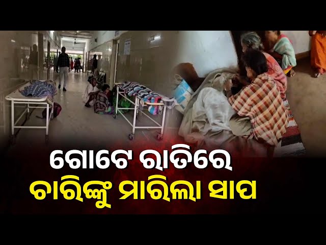 ଗୋଟିଏ-ଜାଗାରେ-ମାଇଁ-ଭାଣିଜୀ-ଆଉ-ଗୋଟେ-ଜାଗାରେ-ମା’-ପୁଅଙ୍କ-ଜୀବନ-ନେଲା-ସାପ