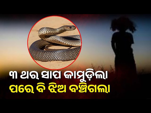 ସାପ-କାମୁଡ଼ିଲା-ସତ-କିନ୍ତୁ-ଶିଶୁର-କିଛି-ବି-ହେଲାନି,-୨୦-ଦିନ-ପରେ-ଘରକୁ-ଫେରିଲା-ଝିଅ