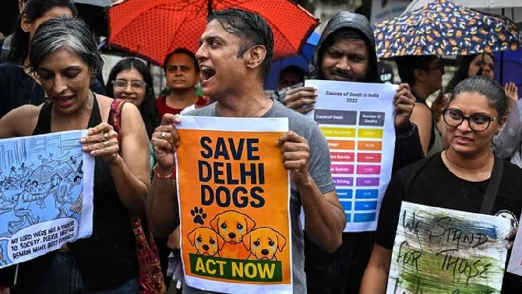 ବୁଲା-କୁକର-ନିୟମରେ-ନିଷ୍କ୍ରିୟତା-ମାମଲା:-ଦିଲ୍ଲୀ-ସରକାର-ଓ-ନଗର-ନିଗମଙ୍କୁ-ଝାଡିଲେ-ସୁପ୍ରିମକୋର୍ଟ,-ରାୟ-ସଂରକ୍ଷିତ