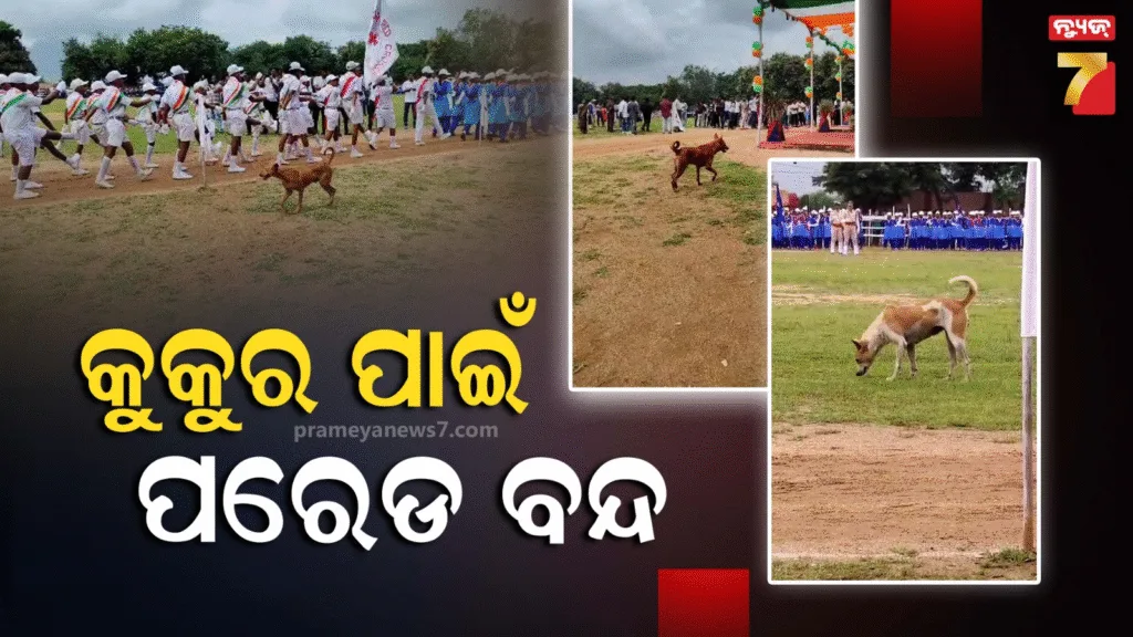 କୁକୁର-ଭୟରେ-ଗାଁରେ-ବନ୍ଦ-ହେଲା-ପରେଡ,-କେବଳ-ପତାକା-ଉତ୍ତୋଳନ-କରି-ପାଳିଲେ-ସ୍ବାଧୀନତା-ଦିବସ