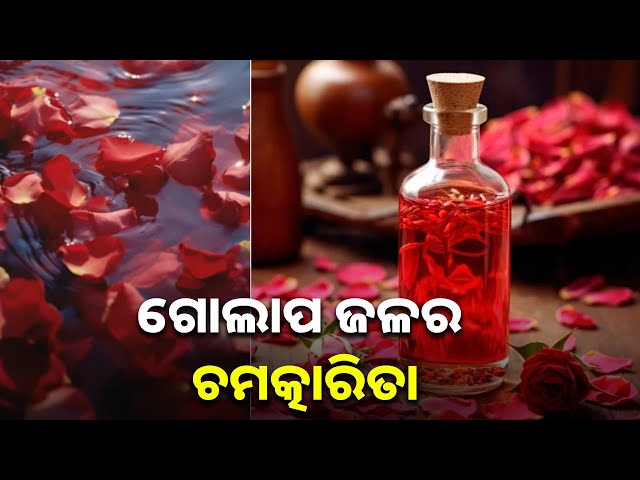 ଖାଲି-ତ୍ୱଚା-ପାଇଁ-ନୁହେଁ-ସ୍ୱାସ୍ଥ୍ୟପାଇଁ-ବରଦାନ-ଗୋଲାପ-ଜଳ-||-knews-odisha