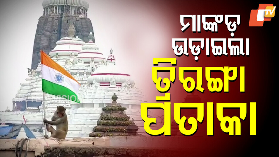 ପୁରୀରେ-ମାଙ୍କଡ଼-ଉଡ଼ାଇଲା-ତ୍ରିରଙ୍ଗା-ପତାକା