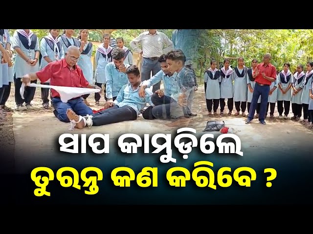 ବିଶେଷଜ୍ଞଙ୍କ-ଠାରୁ-ଶୁଣନ୍ତୁ-ସାପ-କାମୁଡ଼ିଲେ-ଆଗେ-ପ୍ରାଥମିକ-ଚିକିତ୍ସା-କଣ-କରିବେ-||-knews-odisha