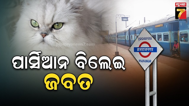 ଷ୍ଟେସନରୁ-ଇମ୍ପୋର୍ଟେଡ଼-ପାର୍ସିଆନ-ବିଲେଇ-ଉଦ୍ଧାର,-ମୁମ୍ୱାଇରୁ-କୋଲକାତା-ହେଉଥିଲା-ଚାଲାଣ