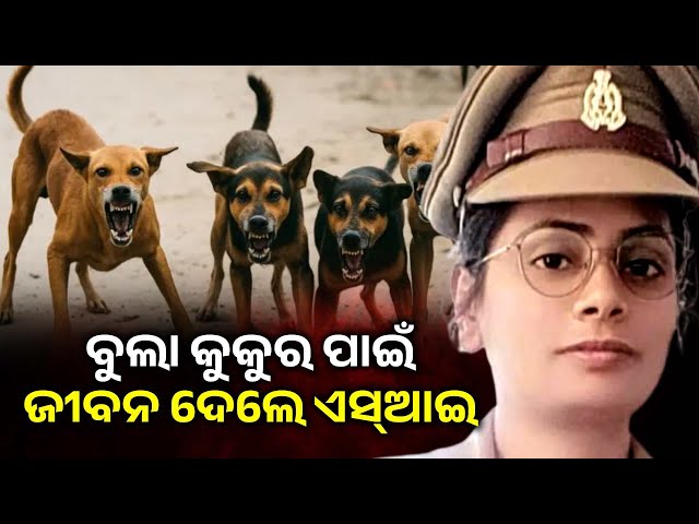 ମହିଳା-ଏସ୍ଆଇଙ୍କ-ବାଇକ୍-ଆଗକୁ-ଅଚାନକ-ଆସିଗଲା-ବୁଲା-କୁକୁର,-ତା’ପରେ-ଘଟିଲା…