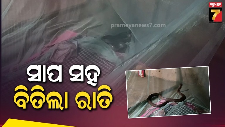 ତମ୍ପ-ସାପ-ସହିତ-କଟିଲା-ବ୍ୟକ୍ତିଙ୍କ-ରାତି,-ଅଳ୍ପକେ-ବର୍ତ୍ତିଲା-ଜୀବନ