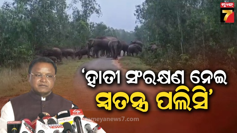 ହାତୀ-ଏବଂ-ମଣିଷ-ନିରାପଦରେ-ରହିବା-ଭଳି-ବାତାବରଣ-ତିଆରି-କରିବାକୁ-ଆହ୍ୱାନ-ଦେଲେ-ମୁଖ୍ୟମନ୍ତ୍ରୀ