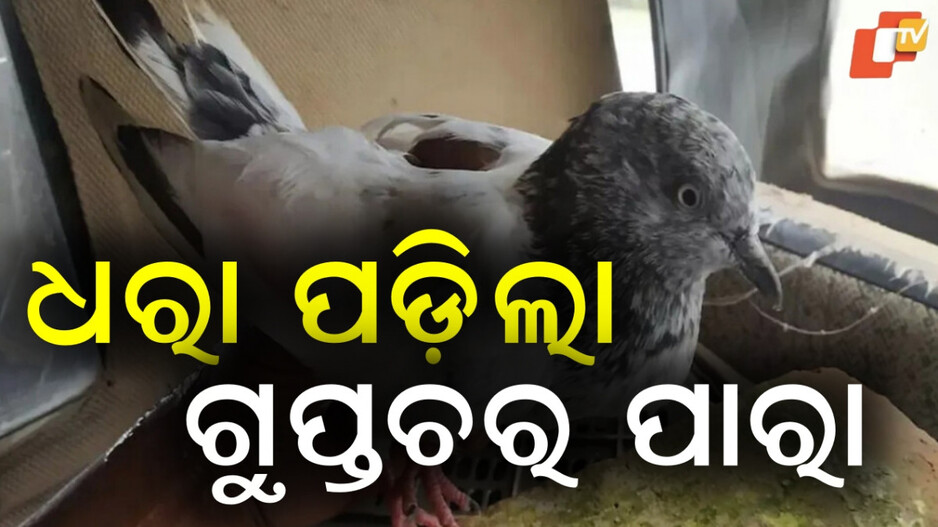 india-pakistan:ଭାରତ-ପାକ୍-ସୀମାରୁ-ଧରା-ପଡ଼ିଲା-ଗୁପ୍ତଚର-ପାରା…ମିଳିଲା-ied-ବିସ୍ଫୋରଣର-ଧମକପୂର୍ଣ୍ଣ-ଚିଠି
