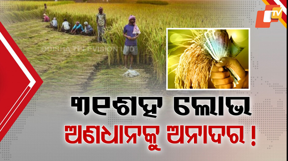 odisha-govt:ମୋହନ-ସରକାରଙ୍କର-ଇନପୁଟ୍-ସବସିଡିର-ଇଫେକ୍ଟ-,-ରାଜ୍ୟରେ-ଧାନ-ଚାଷ-ପ୍ରତି-ବଢୁଛି-ଆଗ୍ରହ,-କ୍ବିଣ୍ଟାଲ-୩୧୦୦