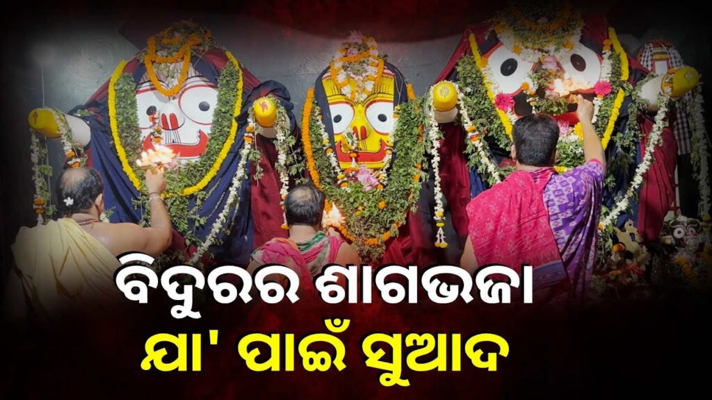 ତୁଳସୀ-ଭିତରୁ-ଦୁରକୁ-କି-ତୋରା-ଦିଶେ-ଲୋ-ସେ-ମନଲୋଭା-ବେଶ-||-knews-odisha