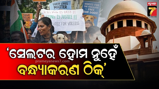 ବୁଲା-କୁକୁର-ପ୍ରସଙ୍ଗ-ନେଇ-ସୁପ୍ରିମକୋର୍ଟଙ୍କ-ବଡ଼-ରାୟ:-ଆଶ୍ରୟସ୍ଥଳ-ନୁହେଁ,-ବନ୍ଧ୍ୟାକରଣ-ହେଉଛି-ସଠିକ୍-ସମାଧାନ