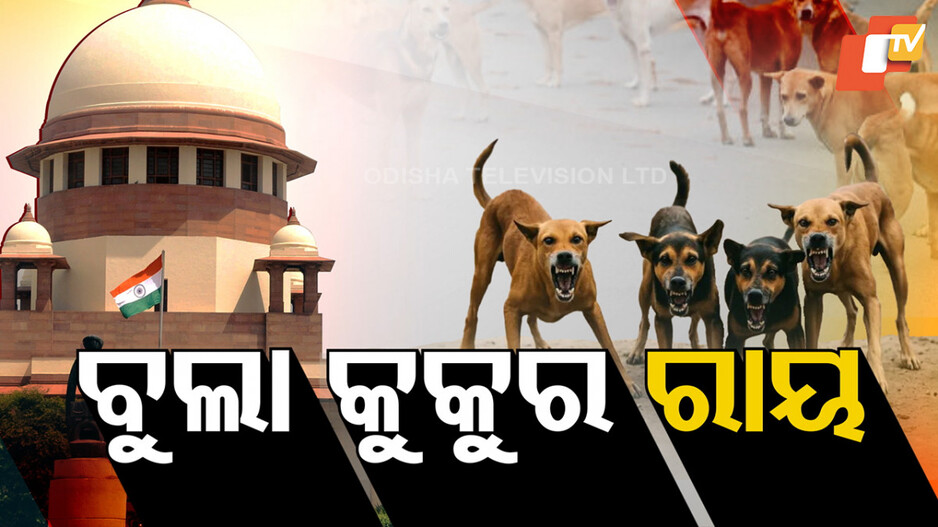 sc-modifies-stray-dog-policy:-ବୁଲା-କୁକୁର-ପ୍ରସଙ୍ଗରେ-ସୁପ୍ରିମ-ରାୟ;-ବନ୍ଧ୍ୟାକରଣ-କରି-ରାସ୍ତାରେ-ଛାଡ
