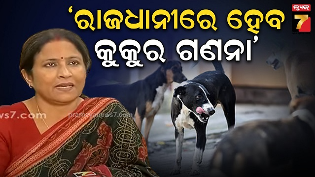 ଖୁବ୍‌ଶୀଘ୍ର-ରାଜଧାନୀରେ-ହେବ-ଡଗ୍-ସେନସସ,-ଭାକ୍ସିନେସନ-ପରେ-କାନରେ-ଲାଗିବ-ଟ୍ୟାଗ୍
