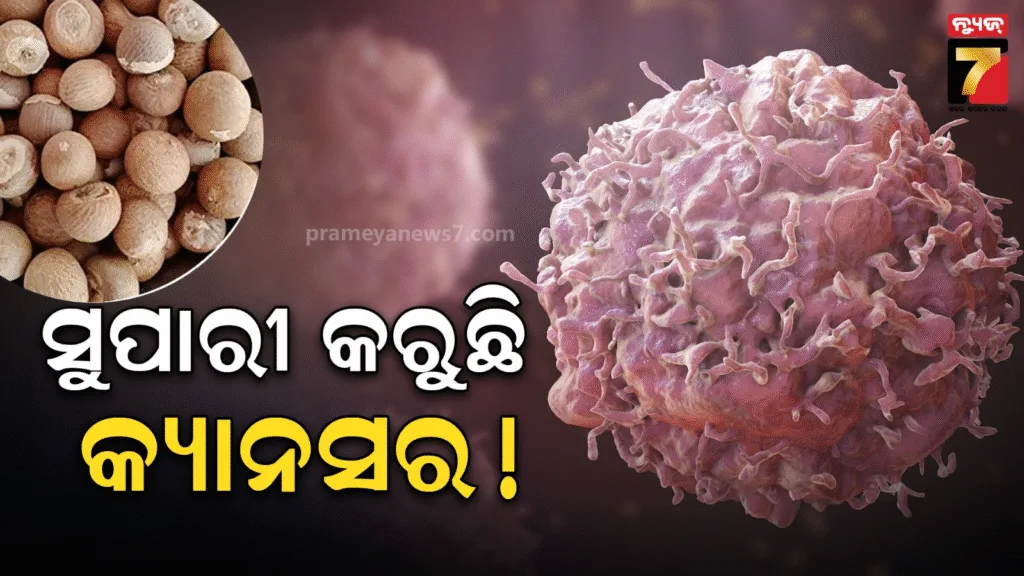 ସୁପାରୀରେ-କ୍ୟାନସରକୁ-ନେଇ-whoର-କନଫ୍ୟୁଜନ-ରିପୋର୍ଟ;-ଦିଲ୍ଲୀରୁ-କର୍ଣ୍ଣାଟକ-ଯାଏ-ମନ୍ଥନ,-ରସର୍ଚ୍ଚ-କରିବେ-ବୈଜ୍ଞାନିକ