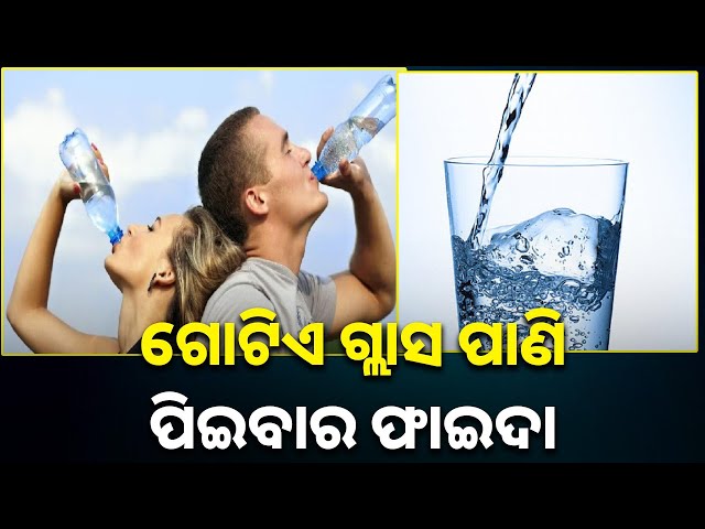 ଦିନକୁ-କେତେ-ପାଣି-ପିଇବା-ଦ୍ୱାରା-କେଉଁ-ସବୁ-ଲାଭ-ମିଳିଥାଏ-ଜାଣନ୍ତୁ-||-knews-odisha
