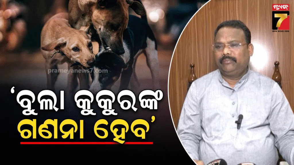 ରାଜ୍ୟରେ-ଅଛନ୍ତି-୭-ଲକ୍ଷ-ବୁଲା-ଏବଂ-୬୪-ହଜାର-ପୋଷା-କୁକୁର,-ବୁଲା-କୁକୁରଙ୍କୁ-ବଳକା-ମାଂସ-ନଦେବାକୁ-ଦୋକାନୀଙ୍କୁ-ନିର୍ଦ୍ଦେଶ