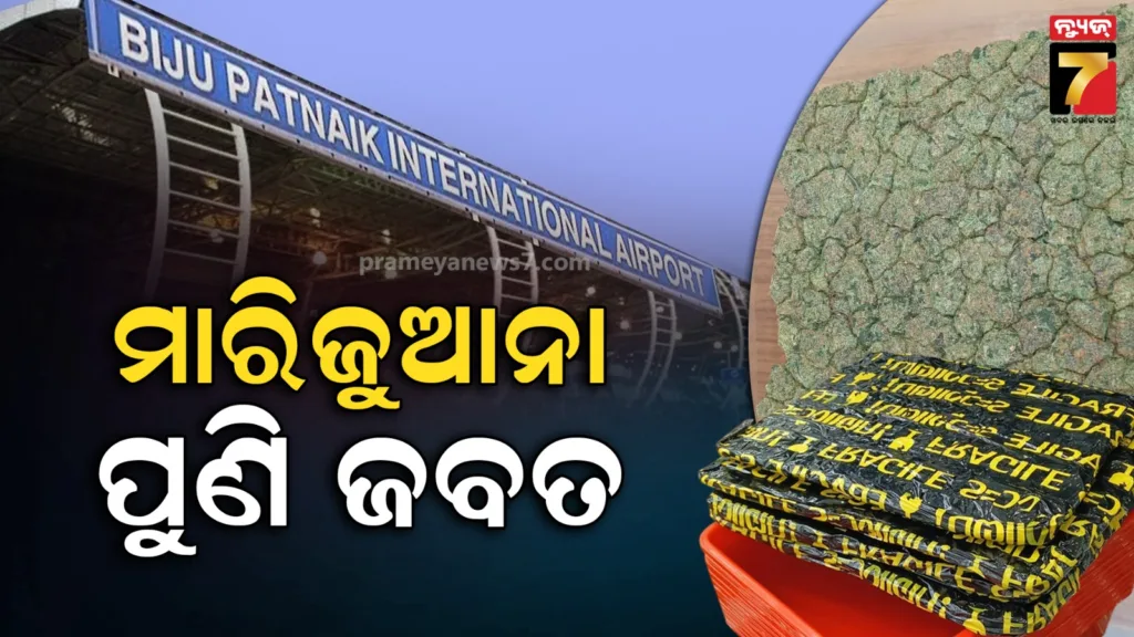 ଭୁବନେଶ୍ୱର-ଏୟାରପୋର୍ଟରୁ-ପୁଣି-ମାରିଜୁଆନା-ଜବତ,-ପ୍ରେମୀ-ଯୁଗଳଙ୍କୁ-ବାନ୍ଧିଲା-ପୋଲିସ