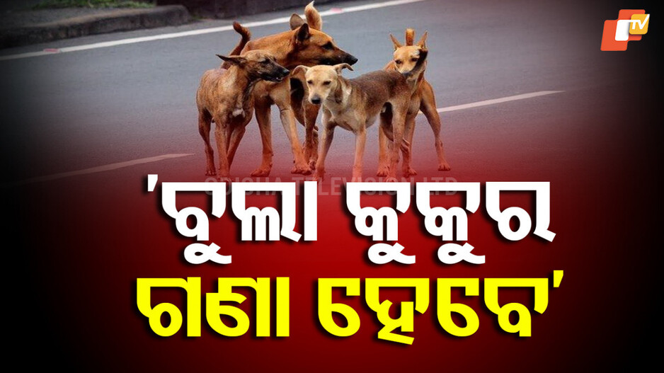 stray-dog-management:-ସର୍ବସାଧାରଣ-ସ୍ଥାନରେ-କୁକୁରଙ୍କୁ-ଖାଇବା-ଦିଅନି-–-ପ୍ରାଣୀସମ୍ପଦ ମନ୍ତ୍ରୀ