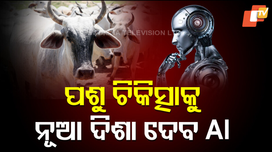 ai-in-veterinary-science:-ପଶୁ-ଚିକିତ୍ସା-ବିଜ୍ଞାନରେ-କୃତ୍ରିମ-ବୁଦ୍ଧିମତାର-ପ୍ରୟୋଗ,-ଏକ-ଆବେଗଭରା-ଆହ୍ୱାନ