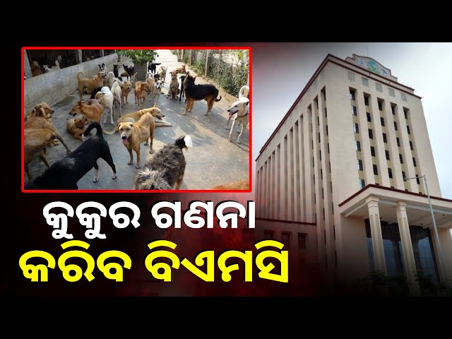 ଘର-ଓ-ବୁଲା-କୁକୁରଙ୍କୁ-ଗଣିବ-ଭୁବନେଶ୍ବର-ମହାନଗର-ନିଗମ-ରଖିବ-କୁକୁରଙ୍କ-ତଥ୍ୟ-||-knews-odisha