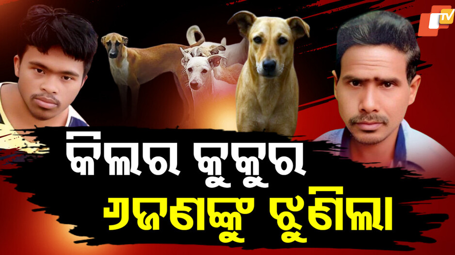 dog-terror:କିଲର-କୁକୁର-୬ଜଣଙ୍କୁ-ଝୁଣିଲା,-ପୂରା-ଗାଁ-ଶୂନଶାନ