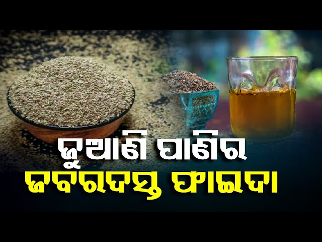 ଓଜନ-କମାଇବାର-ଯାତ୍ରାକୁ-ସହଜ-କରିଥାଏ-ଜୁଆଣି-ପାଣି-||-knews-odisha