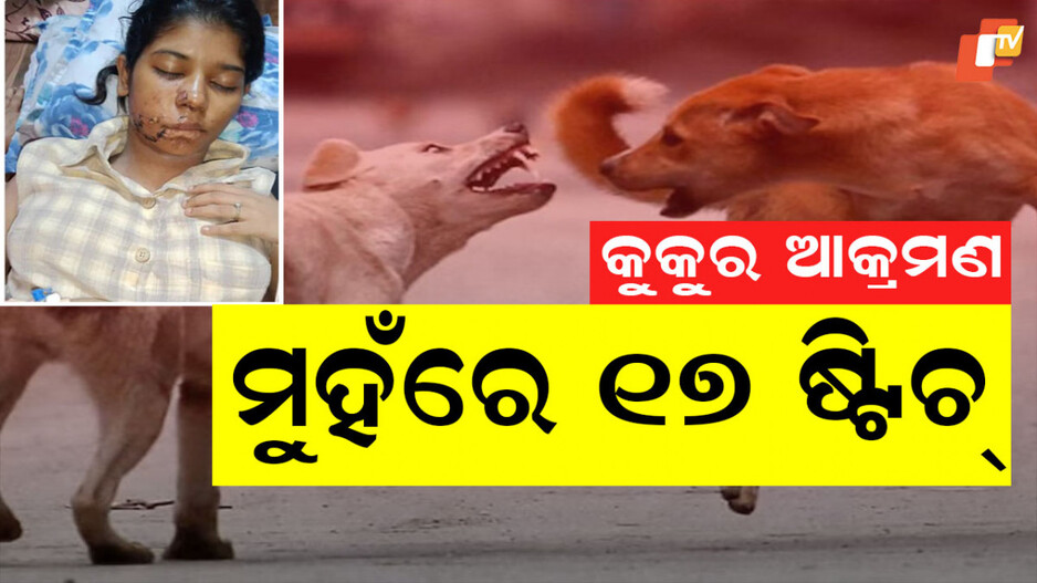 dog-attack-student:-ଛାତ୍ରୀଙ୍କ-ଗାଲ-ଦି-ଫାଳ-କରିଦେଲେ-ବୁଲା-କୁକୁର,-ଗୋଡେଇ-ଗୋଡେଇ-କାମୁଡିଲେ