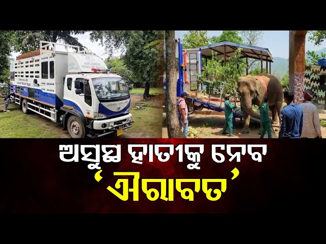 ହାତୀ-ସ୍ଥାନାନ୍ତର-ପାଇଁ-ଆଉ-ହେବନି-ସମସ୍ୟା,-ସ୍ବତନ୍ତ୍ର-ଟ୍ରକ୍-‘ଐରାବତ’ରେ-ଯିବେ-ହାତୀ-||-knews-odisha