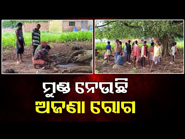 ଅଜଣା-ରୋଗର-ଆତଙ୍କ,-ସପ୍ତାହକରେ-ଗଲାଣି-୪-ଜୀବନ-||-knews-odisha