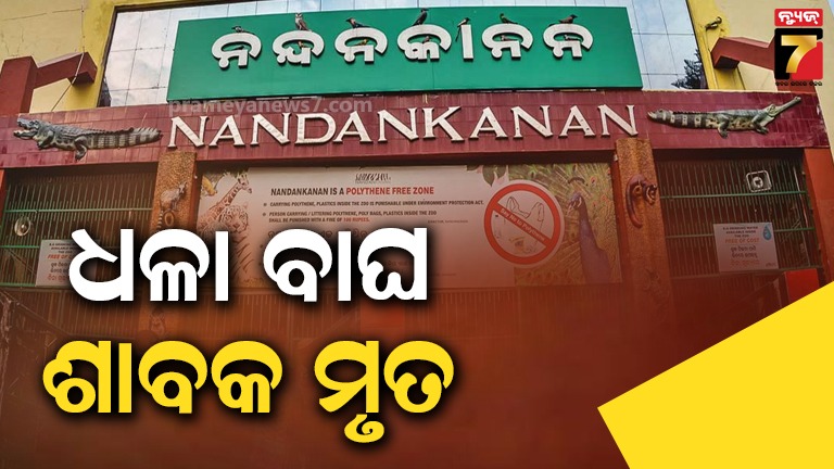 ନନ୍ଦନକାନନରେ-ଧଳା-ବାଘୁଣୀ-ମୌସୁମୀର-ଅଢ଼େଇ-ମାସର-ଅଣ୍ଡିରା-ଧଳା-ଶାବକର-ମୃତ୍ୟୁ