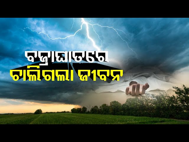 କପା-କ୍ଷେତରେ-କାମ-କରିବା-ହେଲା-କାଳ-,-ବଜ୍ରାଘାତ-ନେଇଗଲା-ଜୀବନ-||-knews-odisha