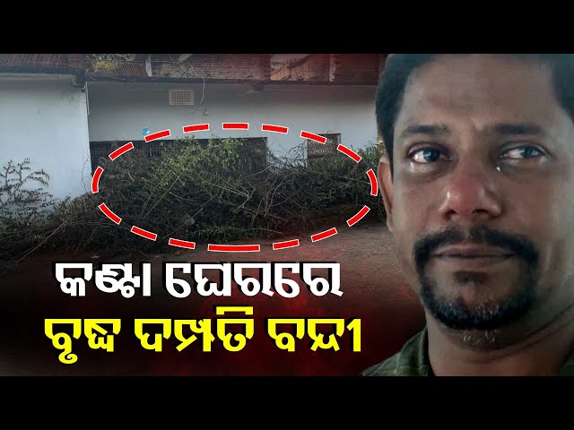 ଗାଁ-ବିବାଦରୁ-ଏଭଳି-କଙ୍ଗାରୁ-କୋର୍ଟର-ଶିକାର-ହୋଇଛନ୍ତି-ବୟସ୍କ-ଦମ୍ପତି-||-knews-odisha