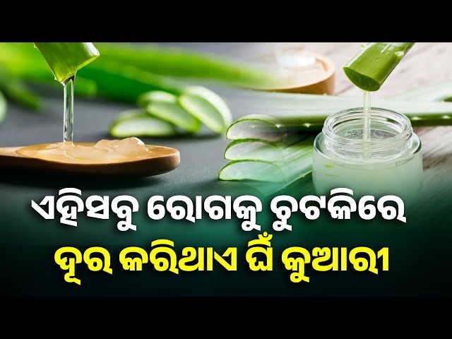 ଘିଁ-କୁଆରୀ-ତ୍ୱଚା-ସହ-ଶରୀର-ପାଇଁ-ଅତି-ଉପକାରୀ-||-knews-odisha