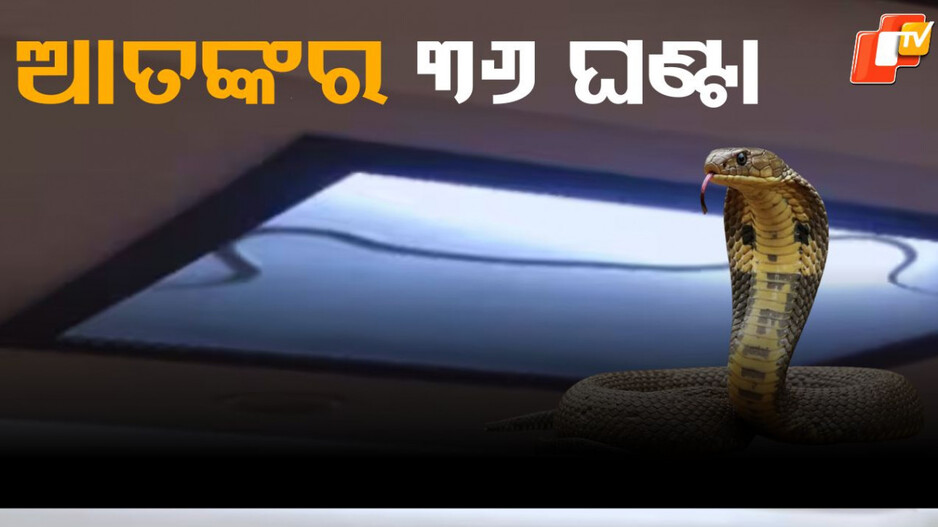 horror:-୩୬-ଘଣ୍ଟାର-ଆତଙ୍କ,-ଗୋଟିଏ-ରୁମରେ-ବନ୍ଦ-ହୋଇରହିଲେ-ପୂରା-ପରିବାର…ରୋଷେଇ-ଘରେ-ଥିଲା-ମୃତ୍ୟୁ