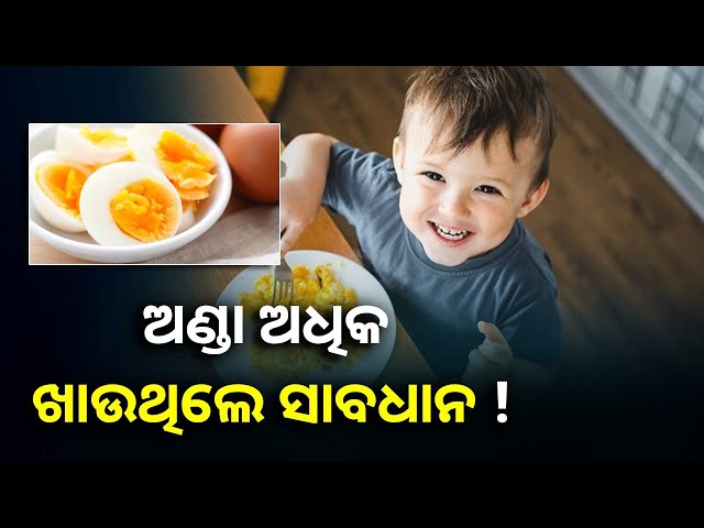 କିଛି-ଲୋକଙ୍କ-ପାଇଁ-ଅଧିକ-ଅଣ୍ଡା-ଖାଇବା-ନିଷେଧ?-ଏକ୍ସପର୍ଟଙ୍କ-ମତ-ଜାଣିଲେ-ହେବେ-ଆଶ୍ଚର୍ଯ୍ୟ-||knews-odisha